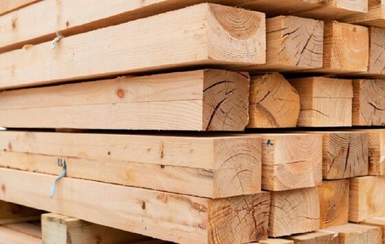 ​В Прикамье участникам СВО хотят ввести льготу на покупку древесины